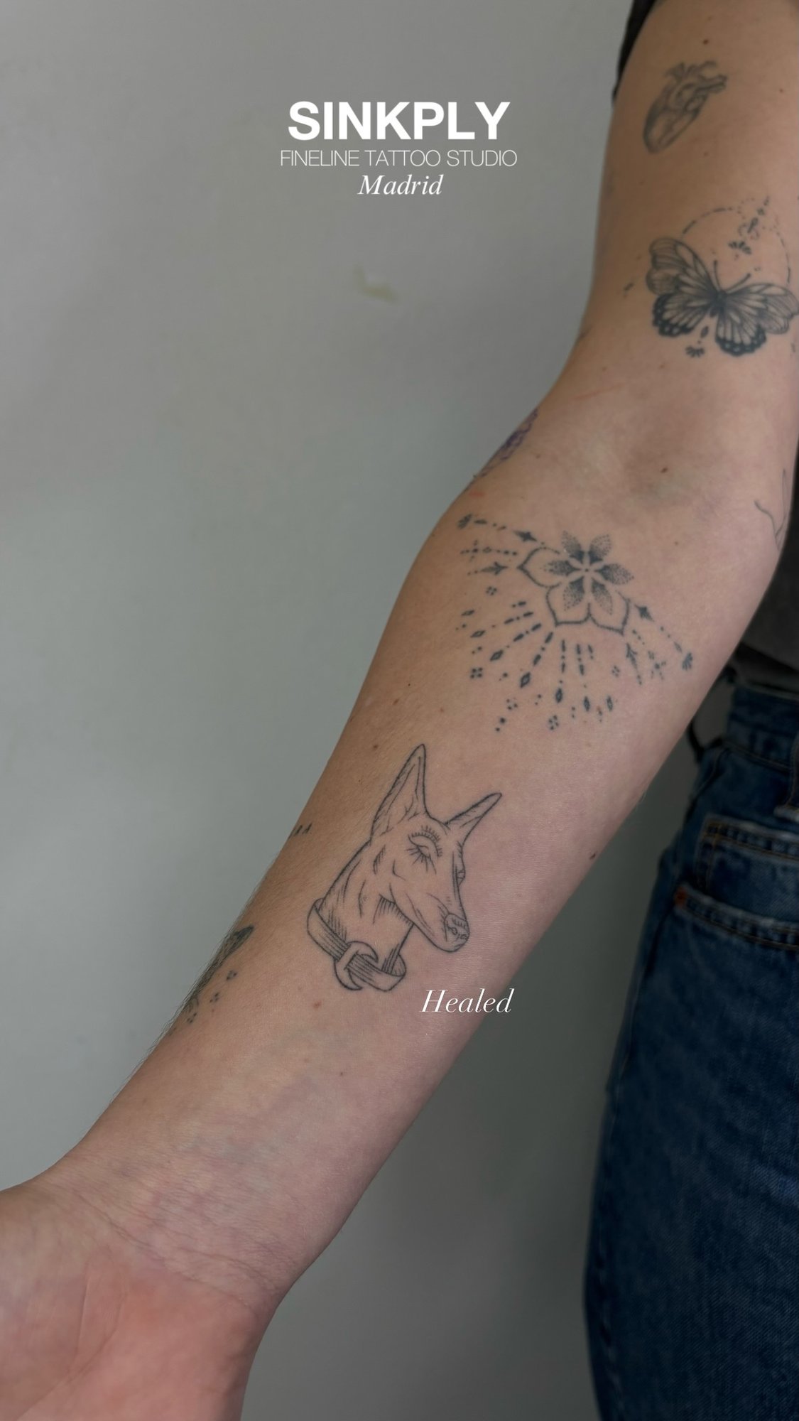 Tatuaje de cabeza perro flor mariposa en antebrazo, línea fina