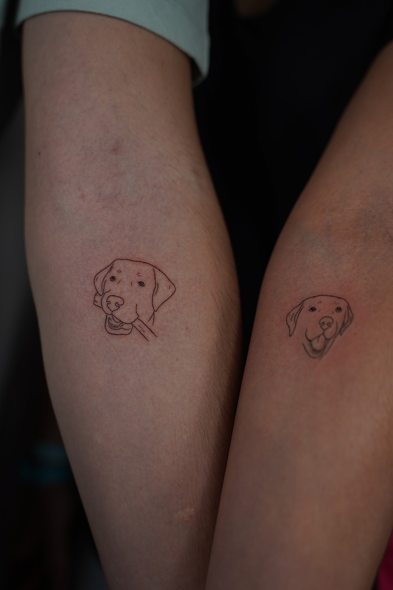 Tatuaje de dos retratos minimalistas perr en antebrazo, línea fina