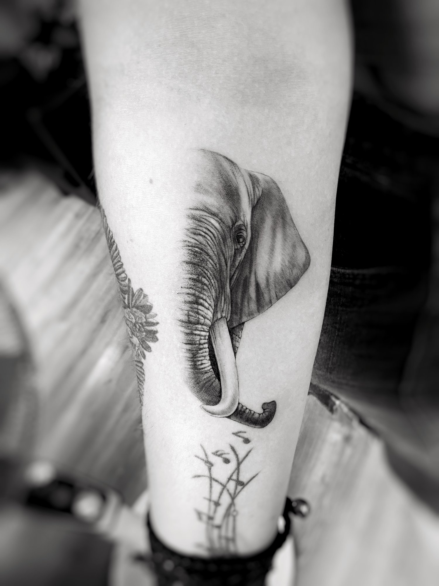 Tatuaje de elefante realista con flores en antebrazo, línea fina