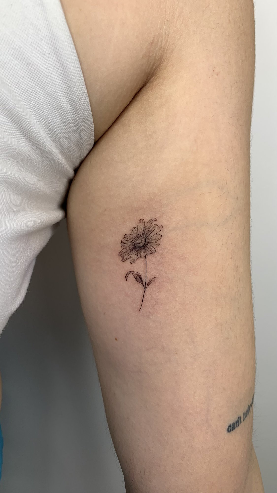 Tatuaje de margarita fineline y texto en brazo, línea fina