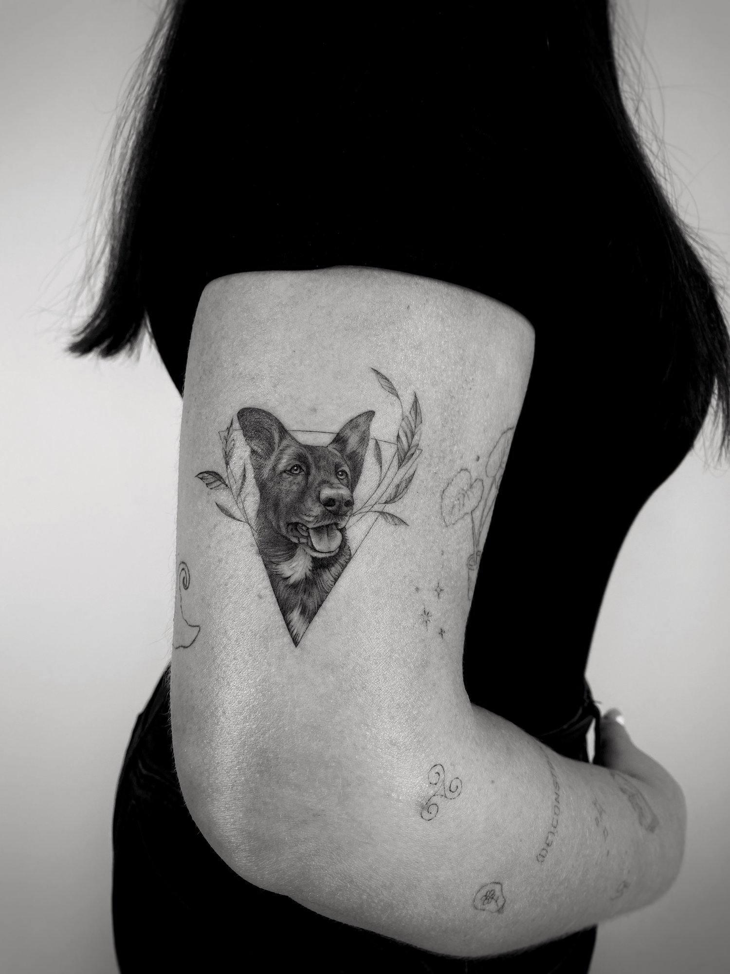 Tatuaje de perro realista triangulo flora en brazo, línea fina