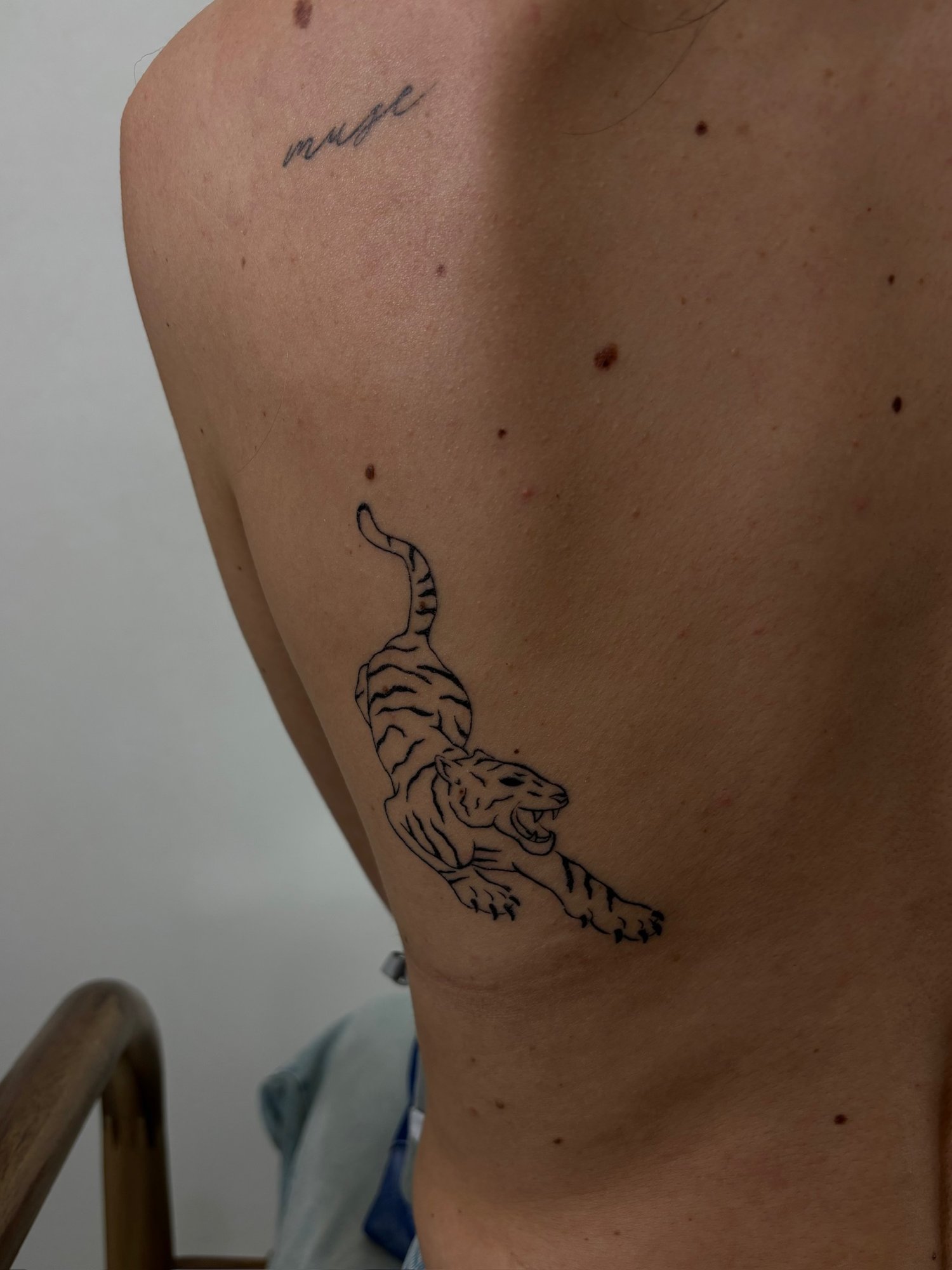 Tatuaje de tigre y texto muse en espalda, línea fina