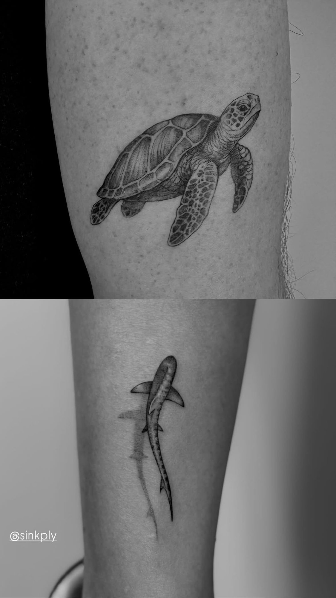 Tatuaje de tortuga marina y tiburon en antebrazo, línea fina